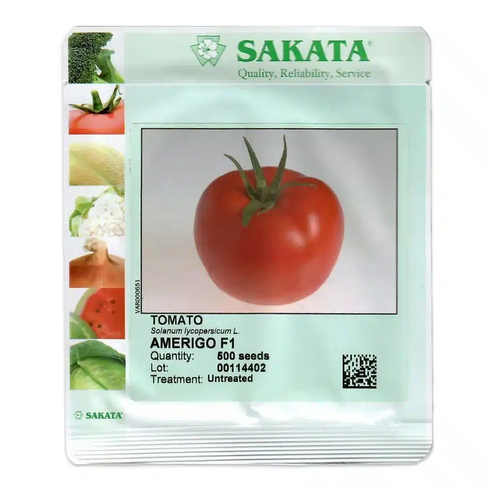 seminte tomate amerigo f1