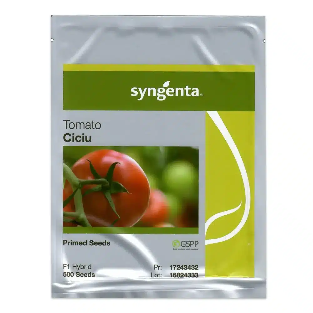 seminte tomate ciciu f1 plic