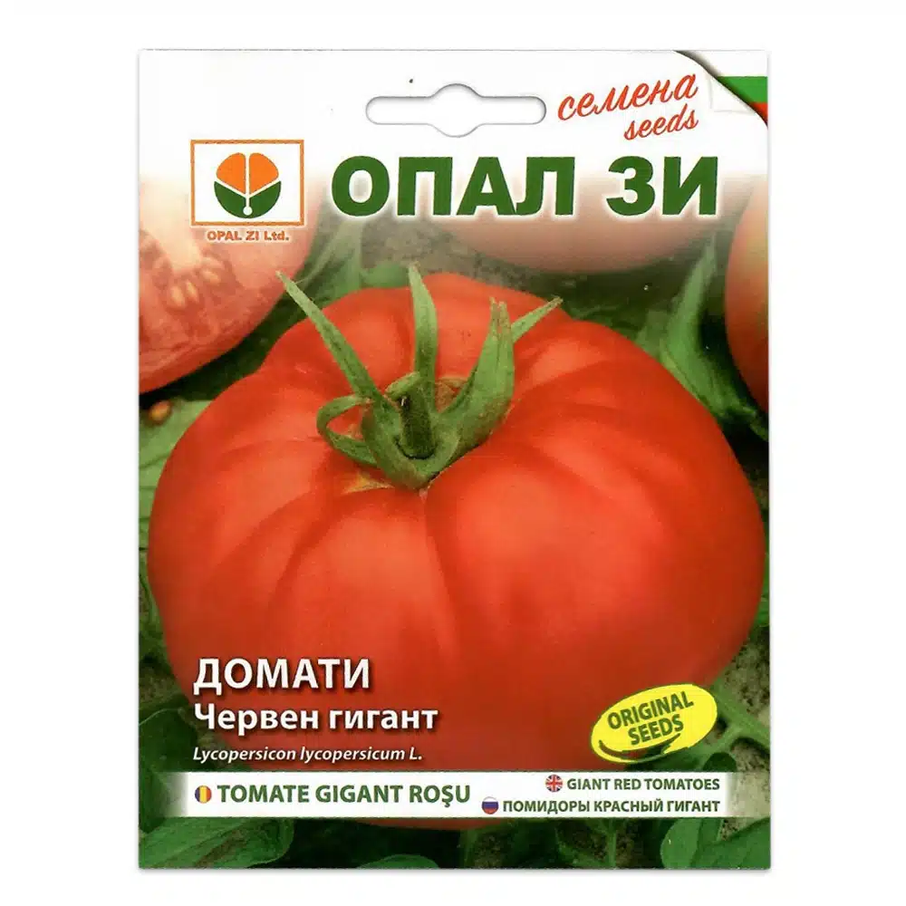 seminte tomate gigant rosu